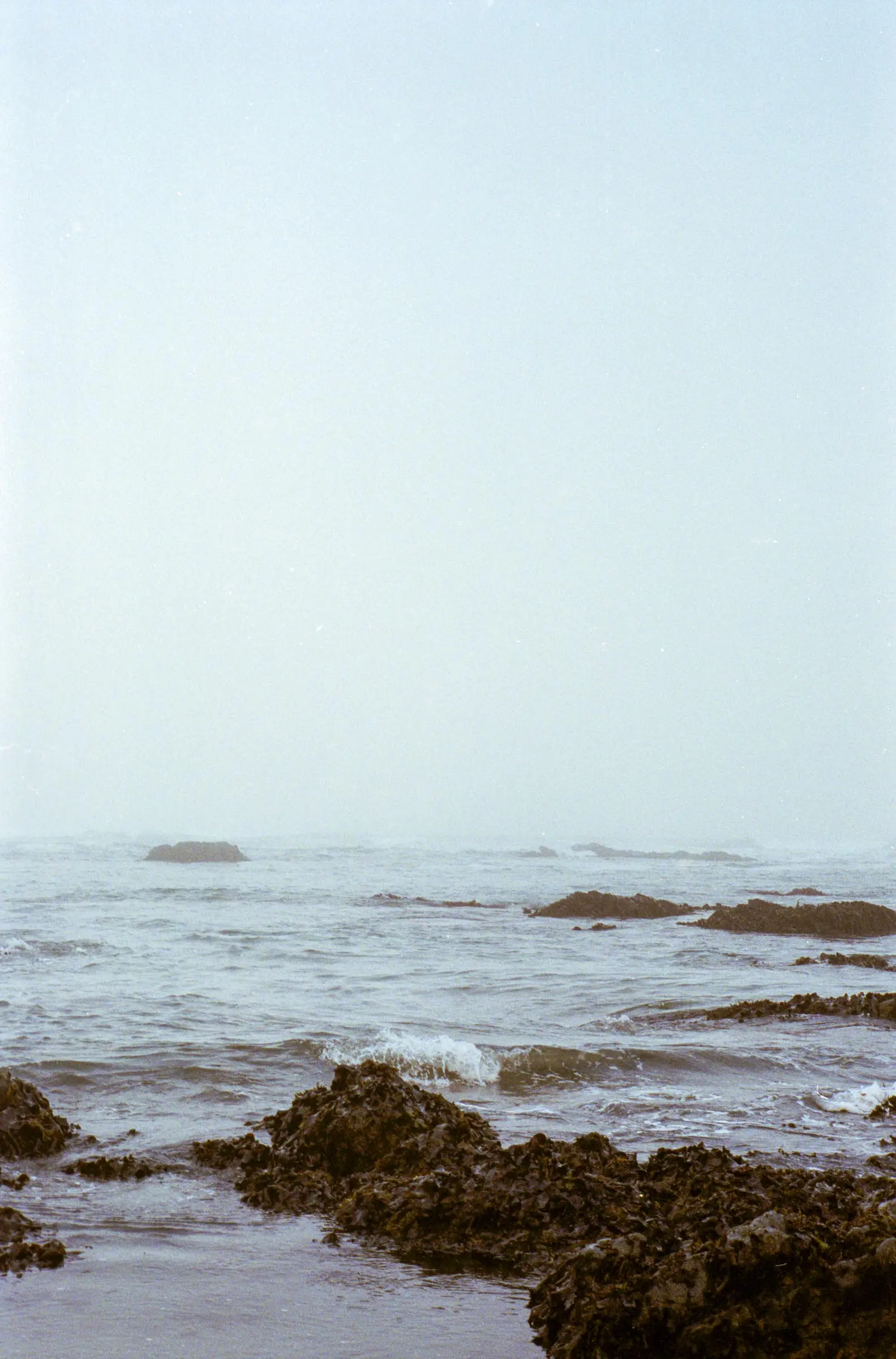 Enderts Beach near the Redwood national Park in Crescent City California