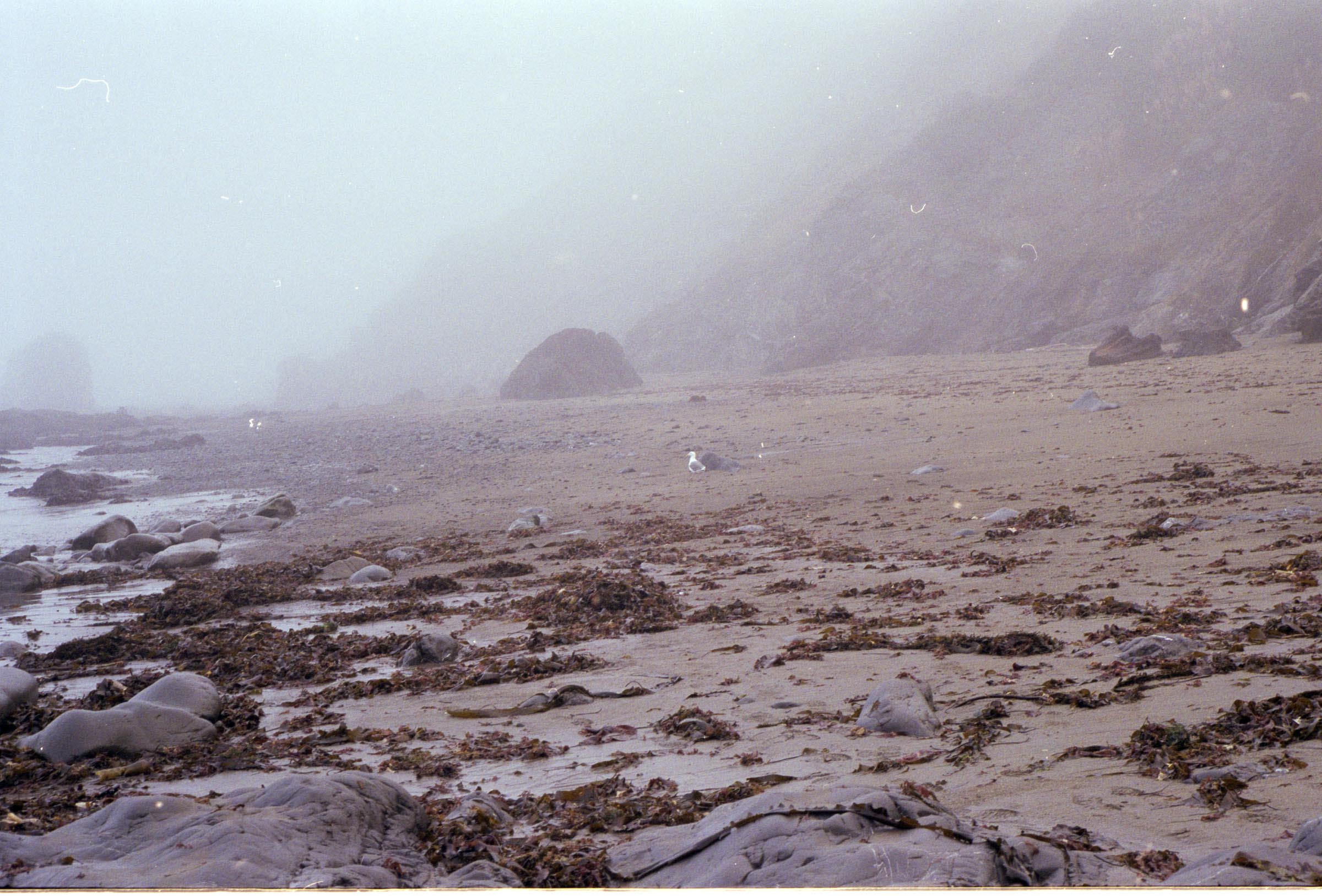 landscape image of rock formations Enderts Beach near the Redwood national Park in Crescent City California