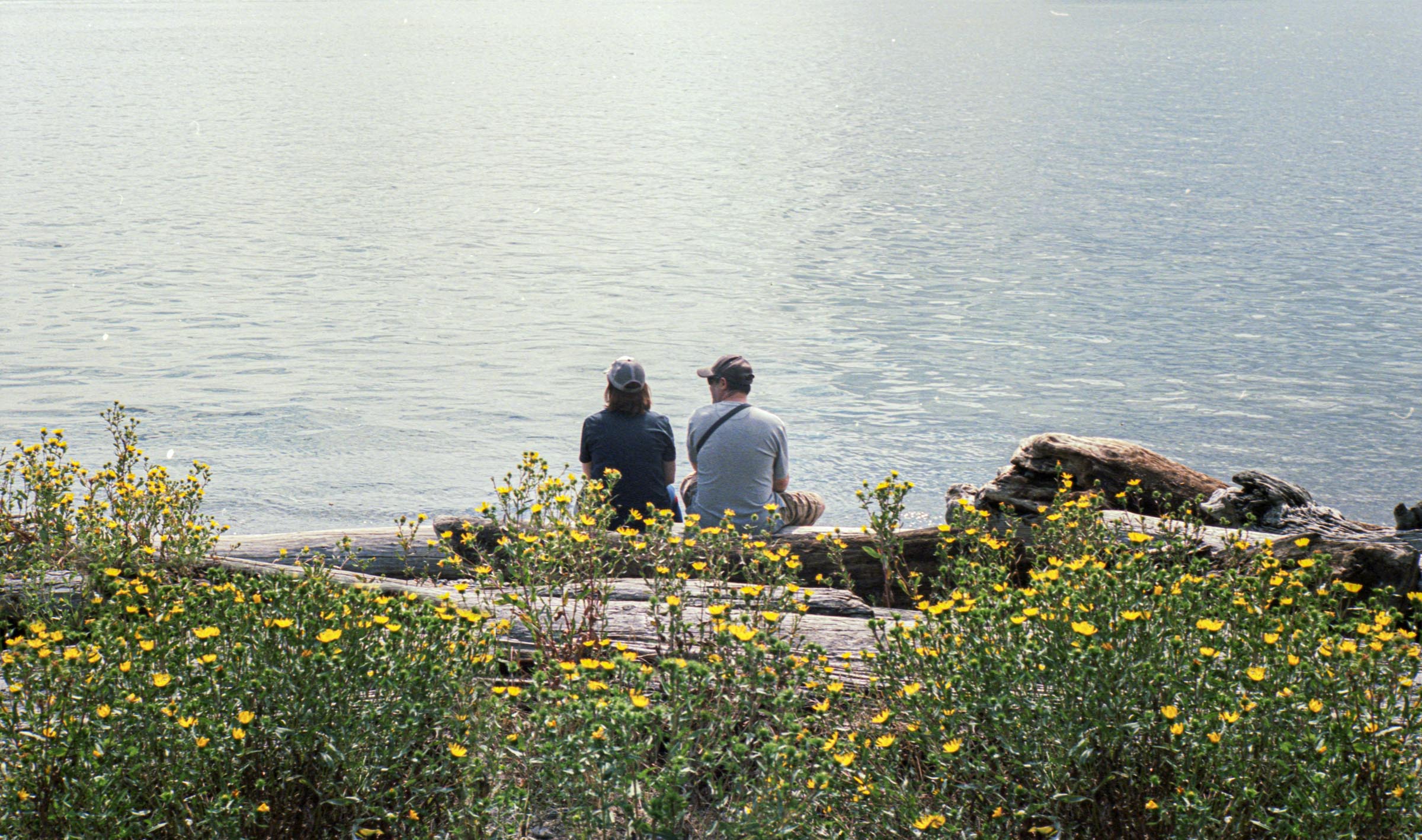 Couple near wild yellow flowers