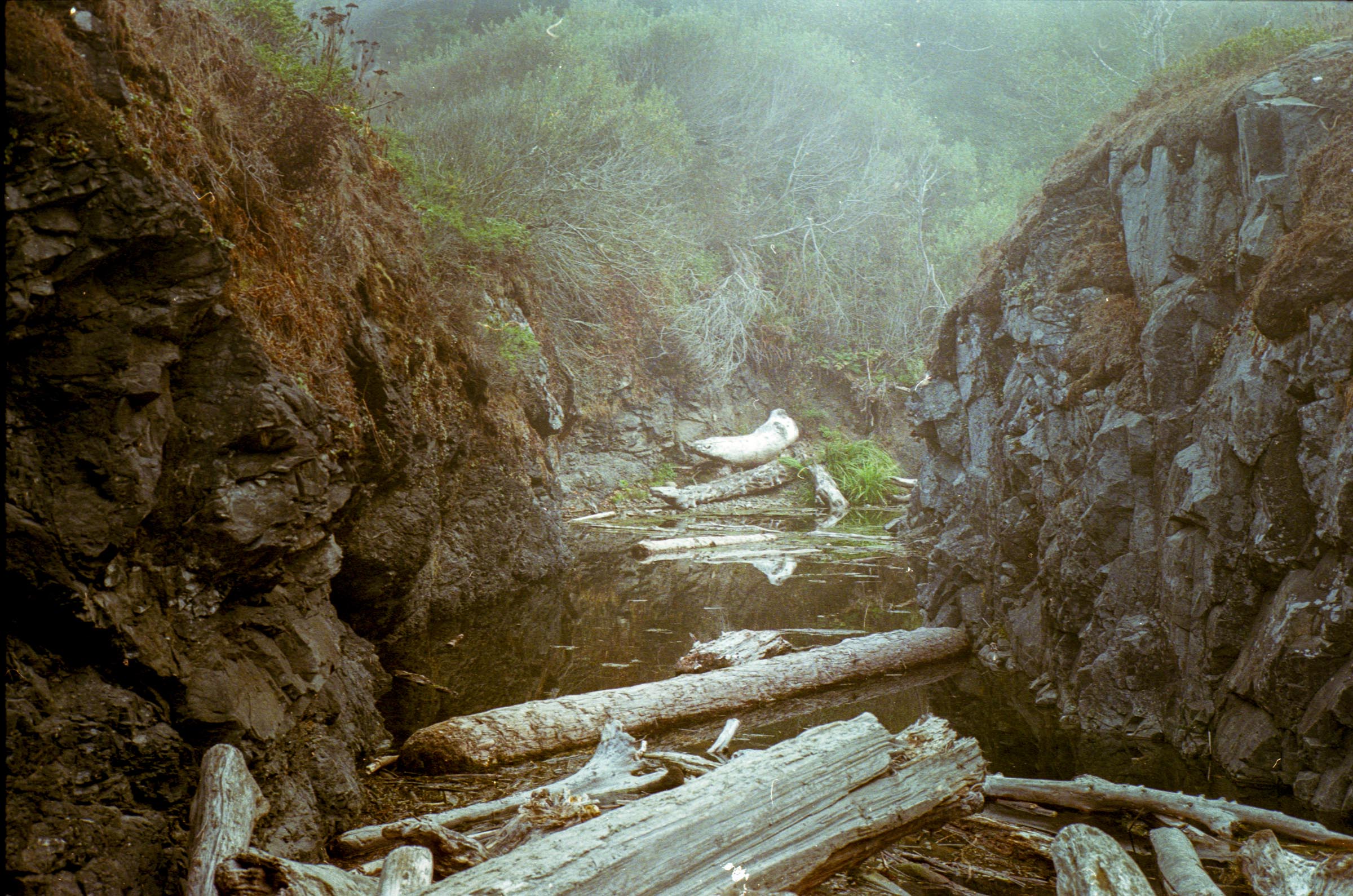 Enderts Beach, Shot on Kodak Color Plus 200