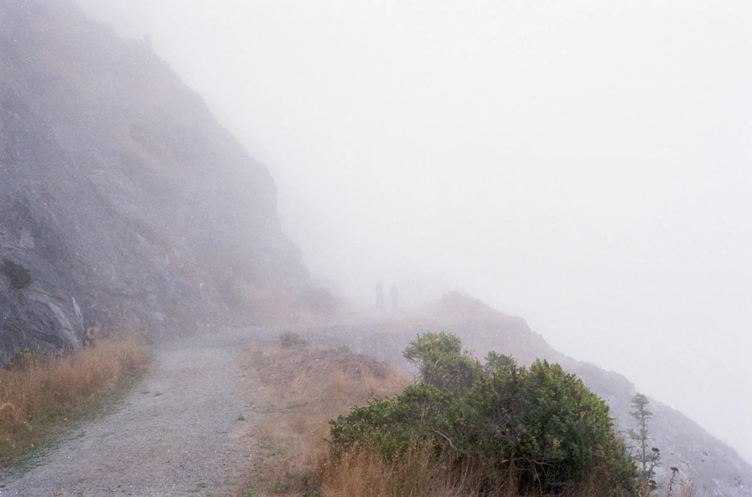 Enderts Beach, Shot on Kodak Color Plus 200