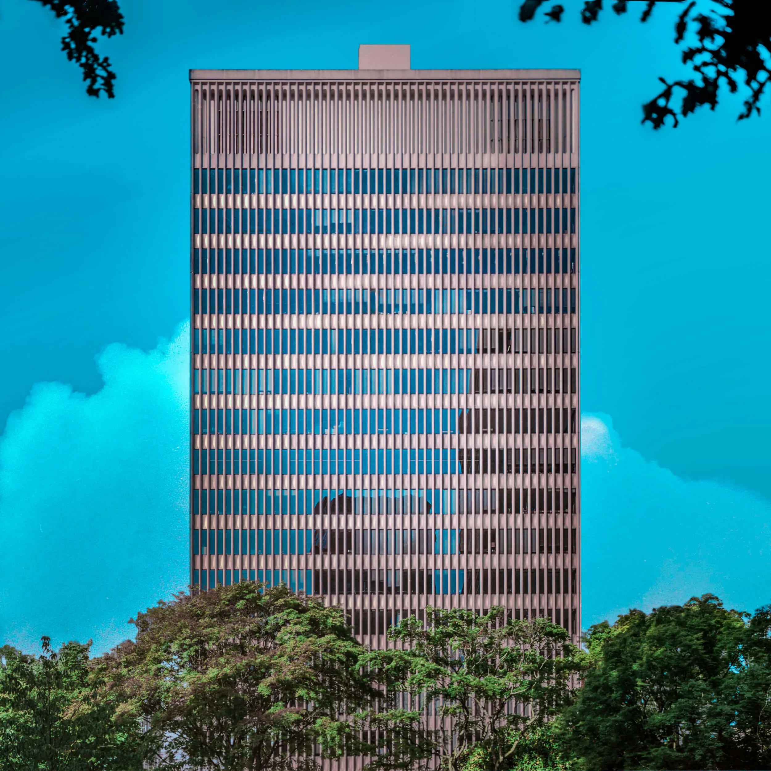 IBM Building Photographed on Kodak Portra 160