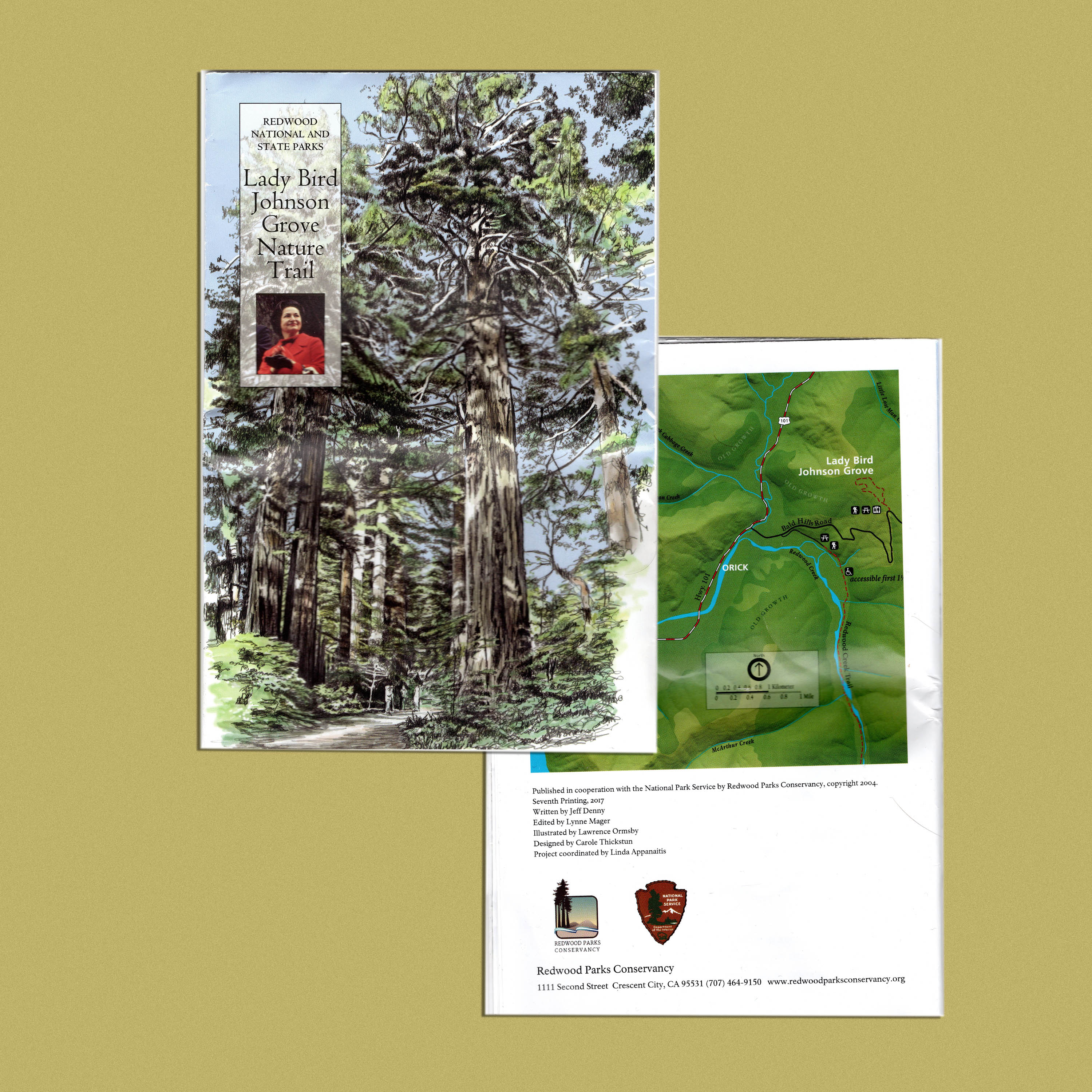 Guidebook for the Lady Bird Johnson Grove Natural Trail