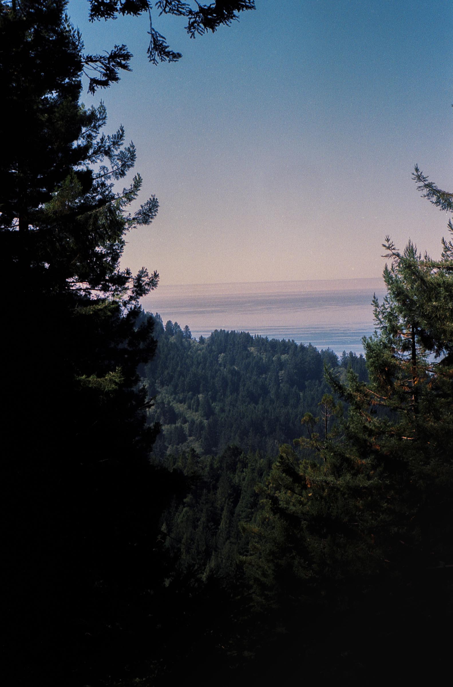 Pacific ocean as seen from the top of "the trees of mystery" attraction in crescent City california