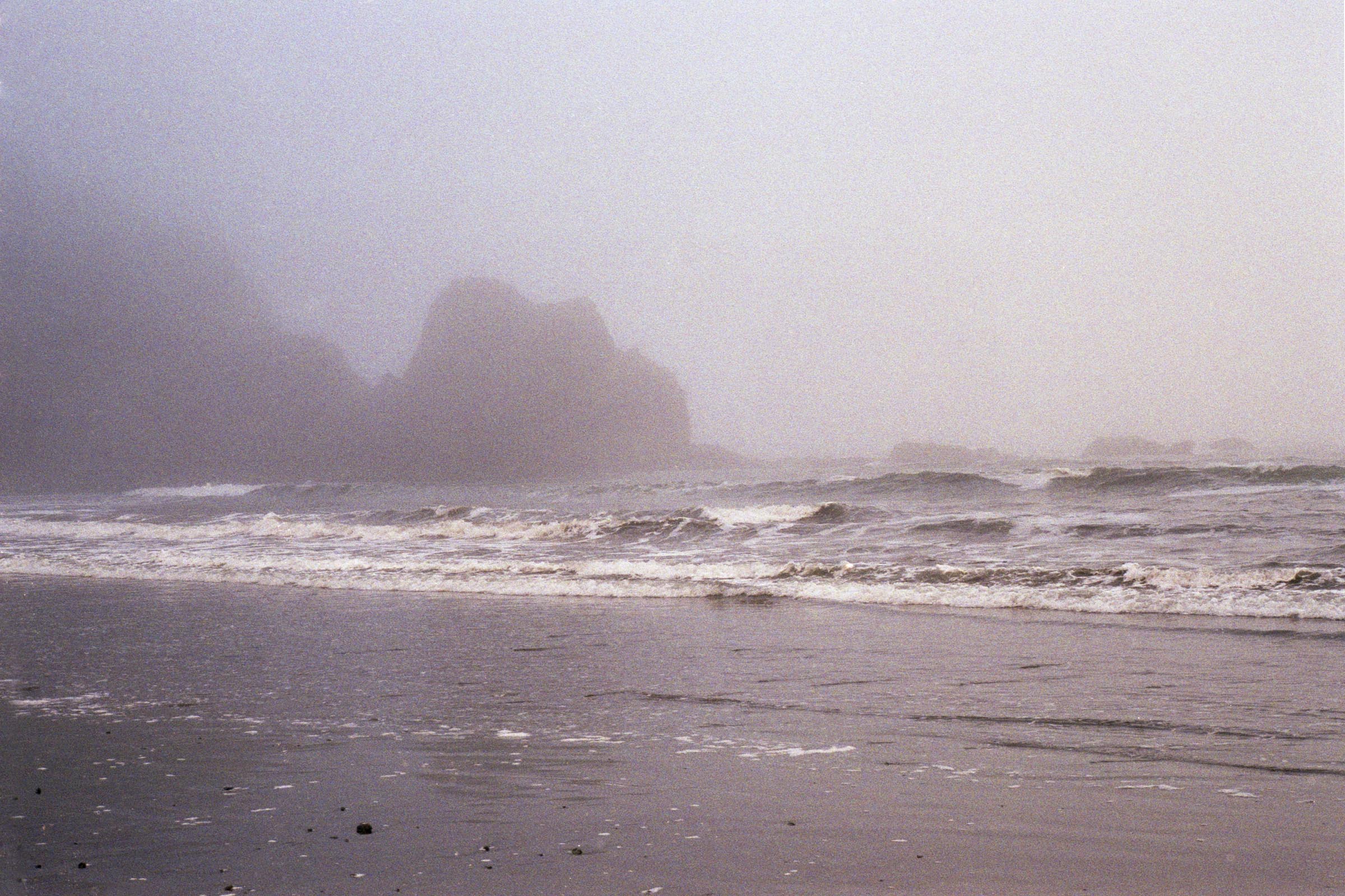 Ghostly rocks in the fog at Enderts Beach near the redwood national park in crescent city ca