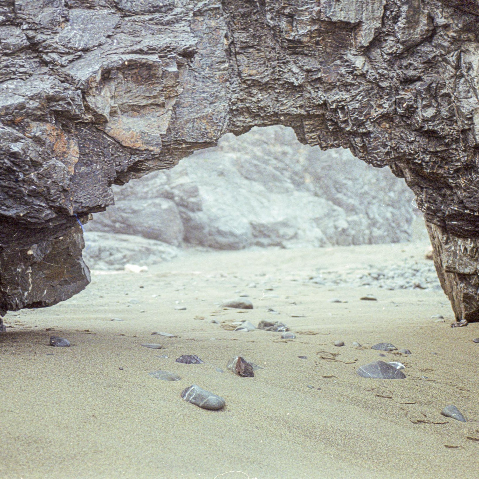 Enderts Beach, Shot on Kodak Color Plus 200