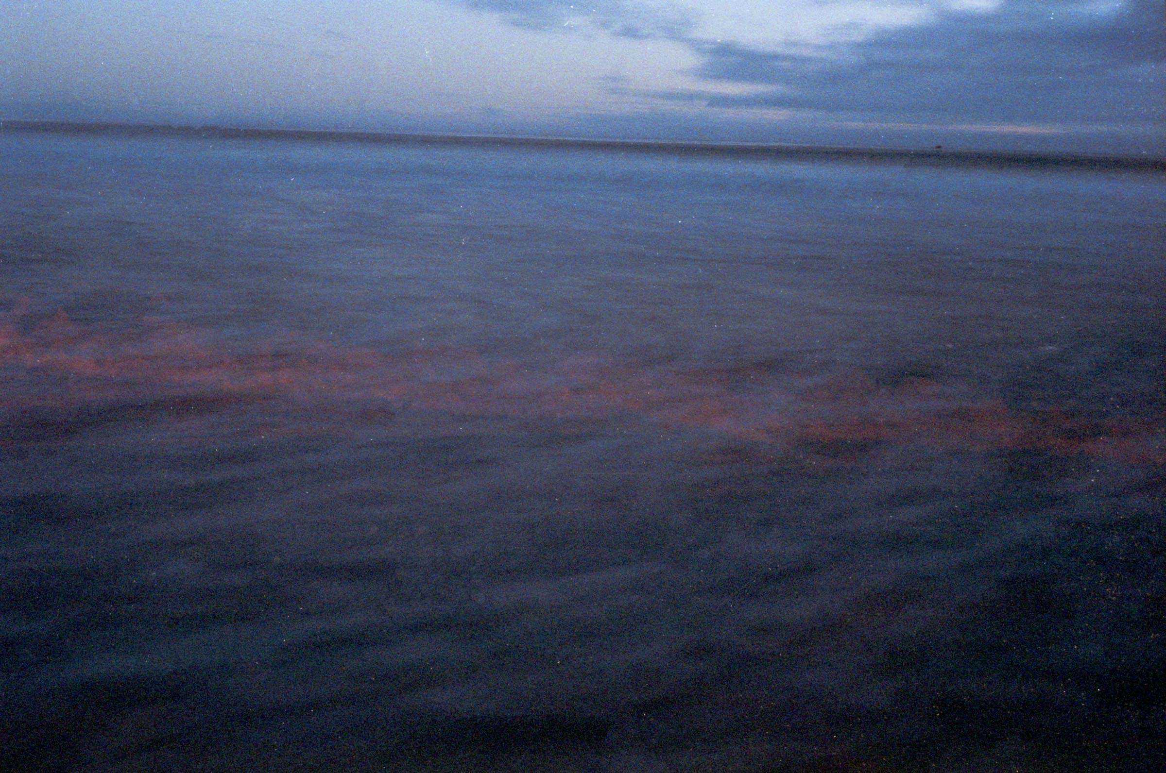 Pacific Ocean shot on Kodak Color Plus 200