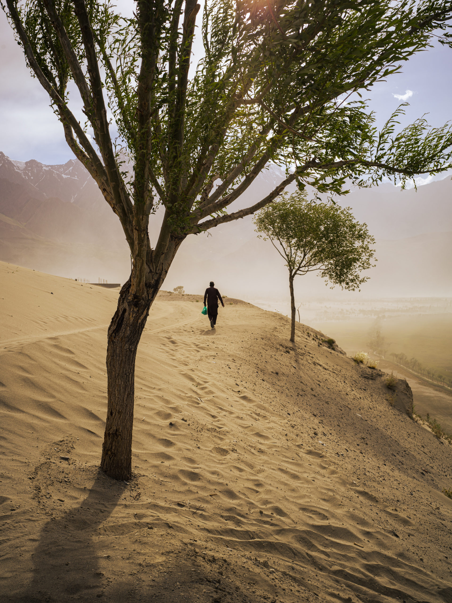 A man going home during a sandstorm in Katpana desert