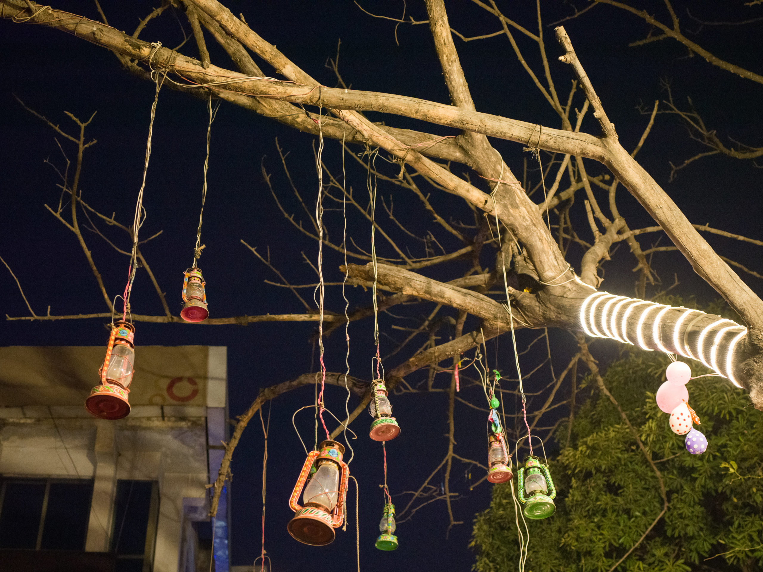 colorful lanterns hanging from a tree