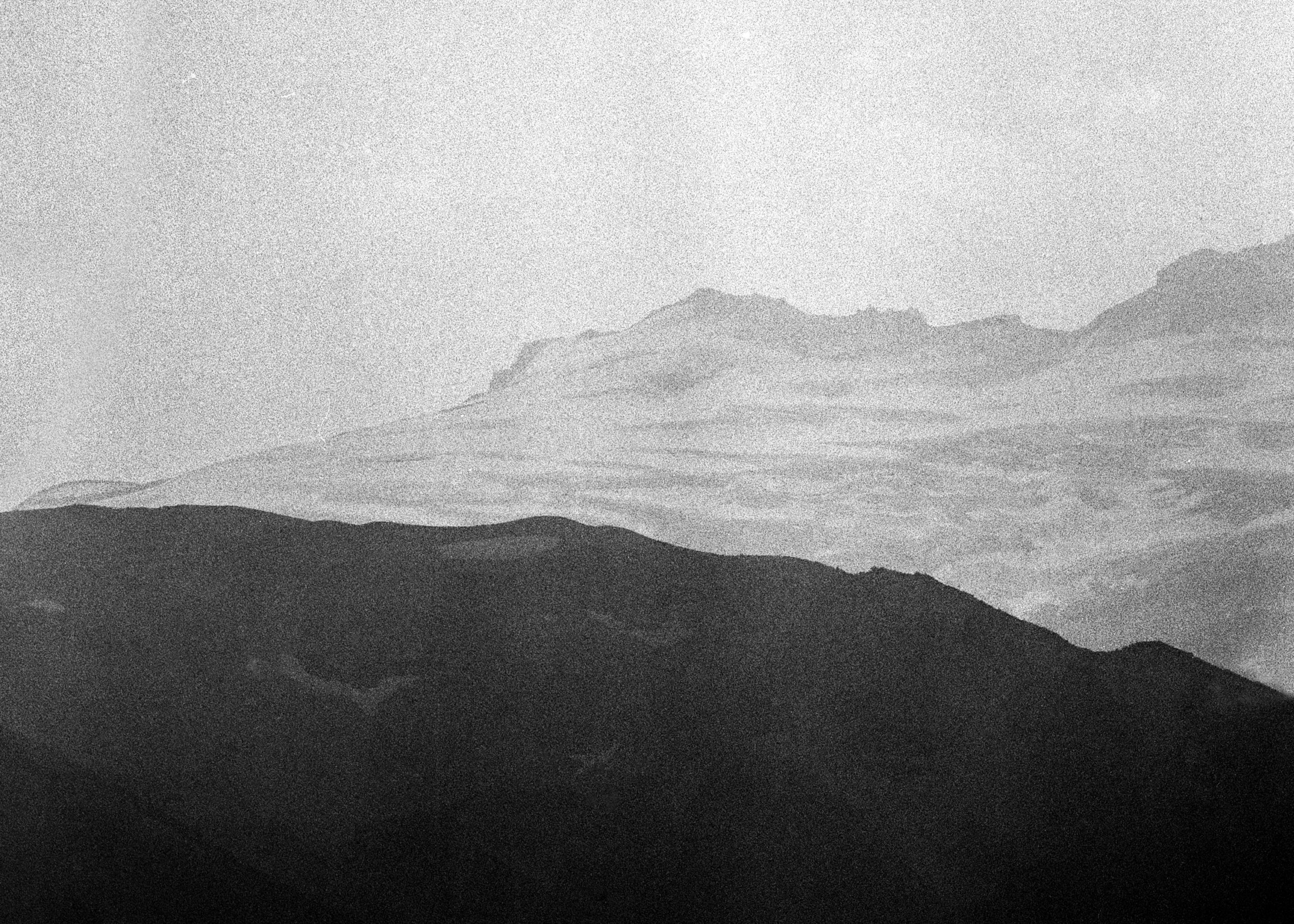 The glaciers on the base of mount rainier seen next to to a burnt forest