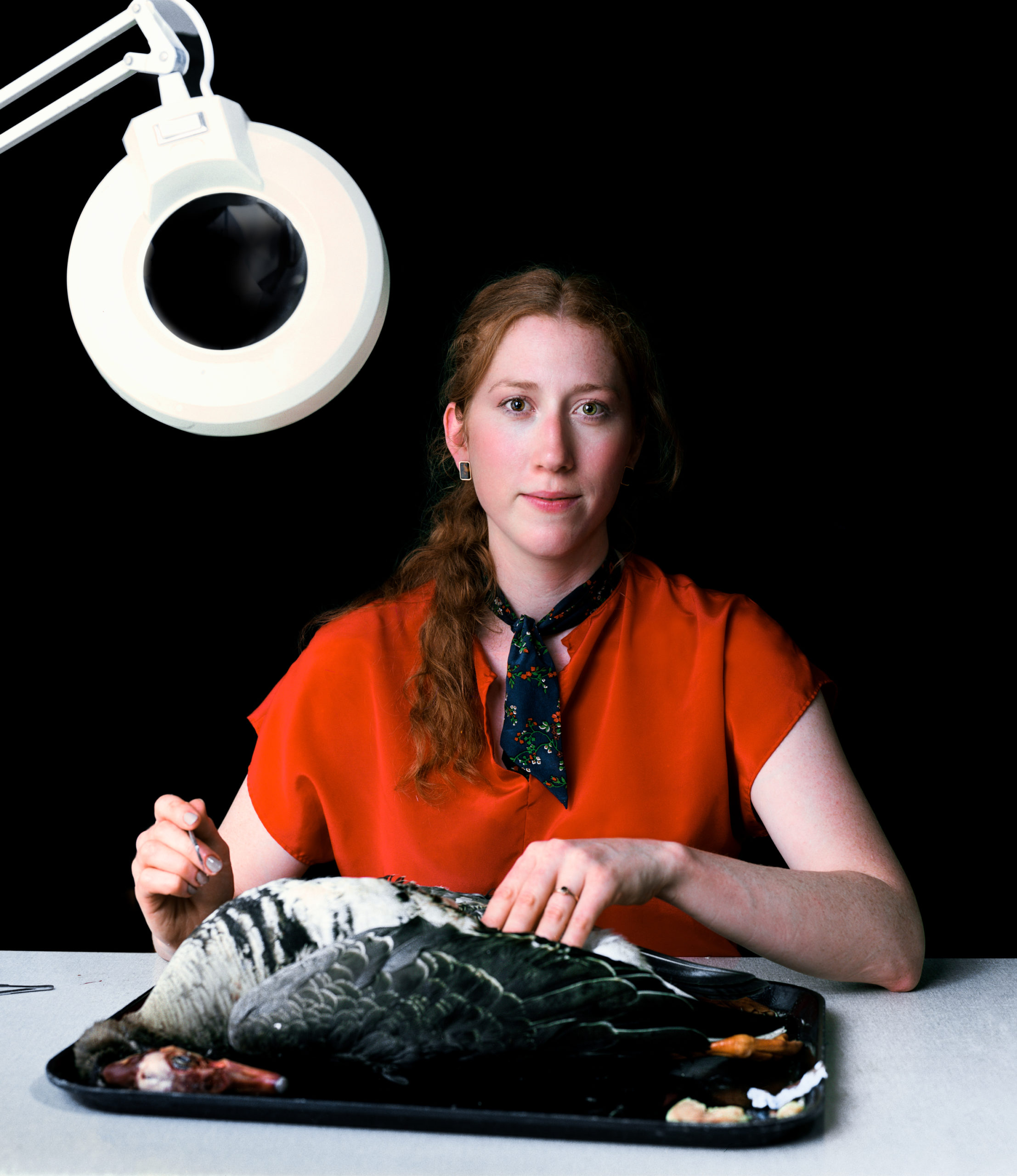Portrait of a women in a red shirt operating on a bird for taxidermy