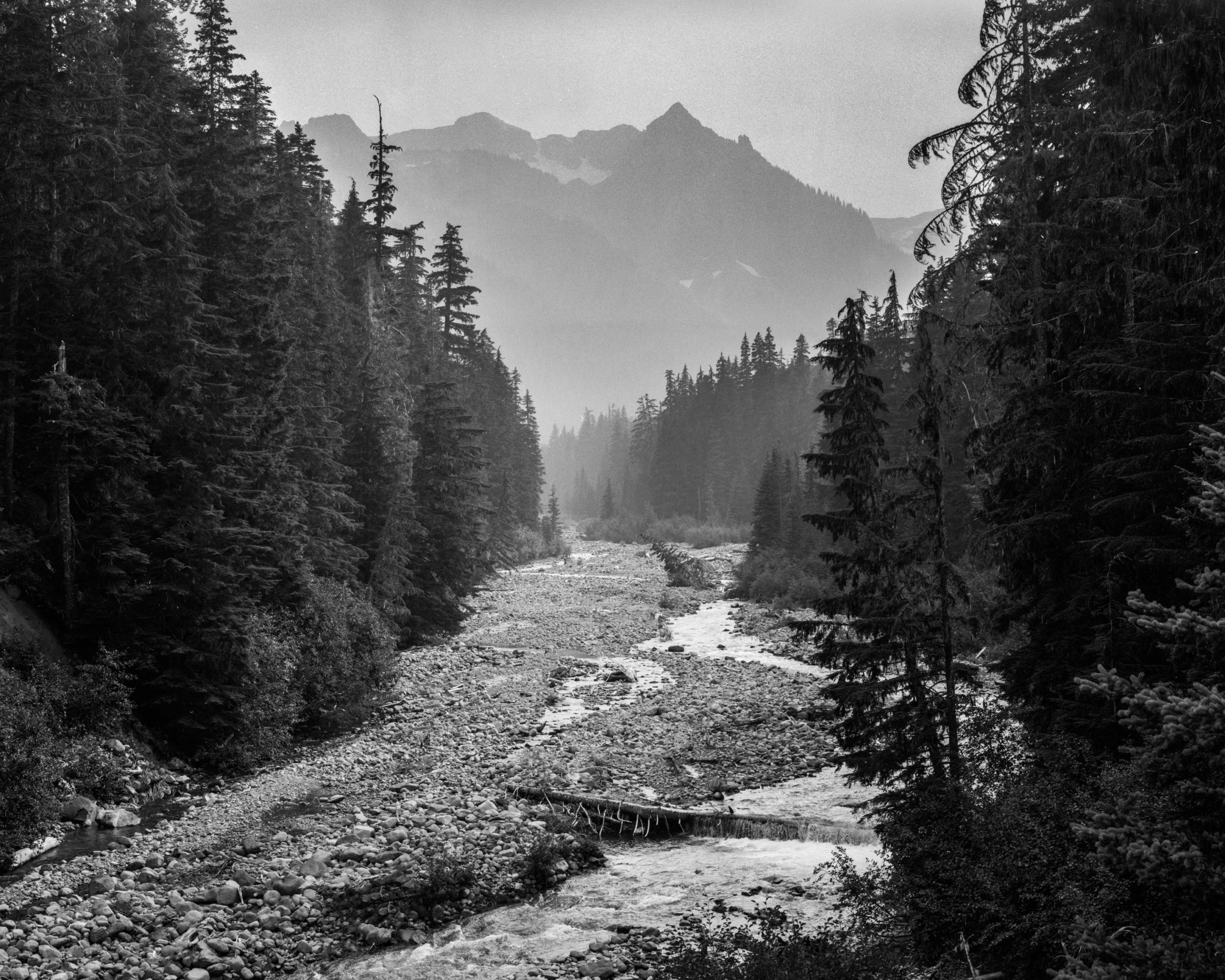 A landscape of the White River in Mount Rainier National Park in Washington