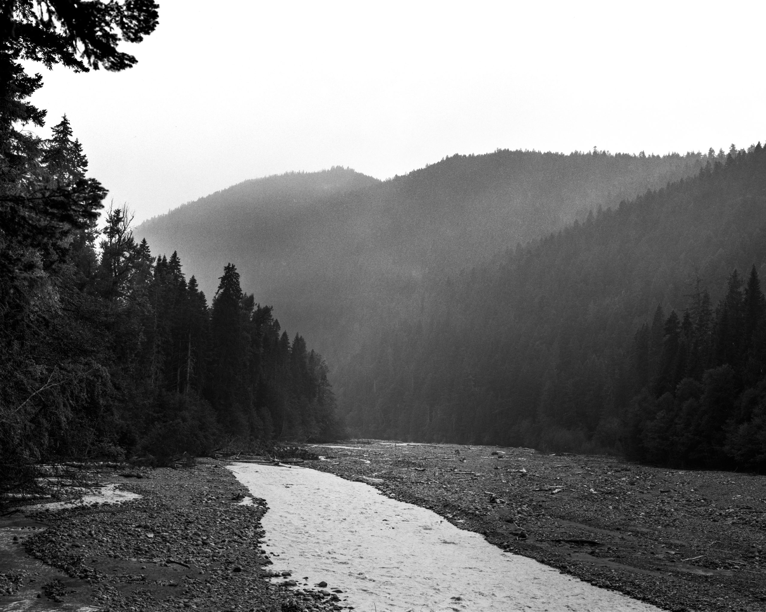 River running through a landscape in Mount rainier national park