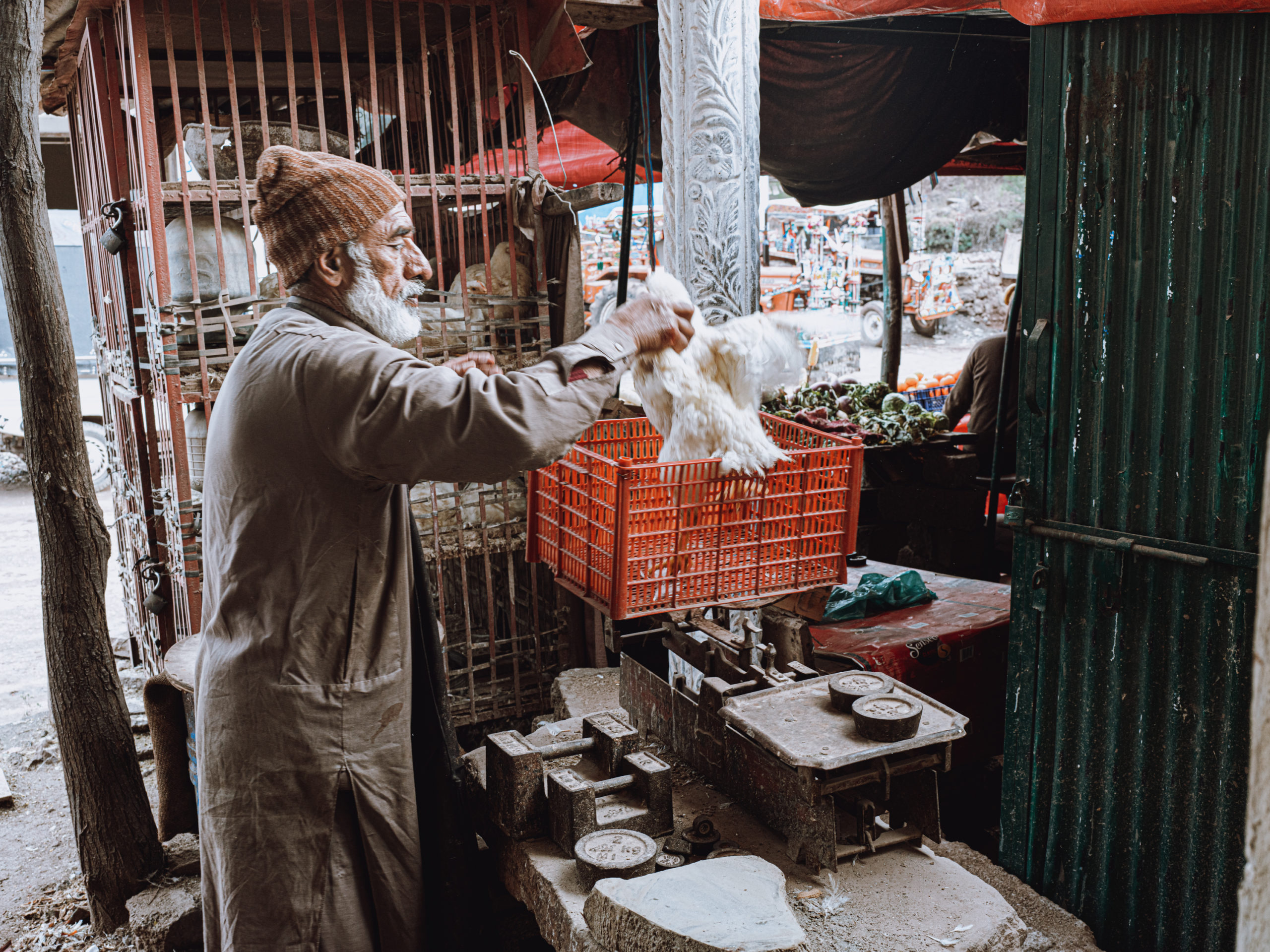 Butcher takes a chicken out of the cage to sell
